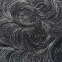 #11B 40% Canas