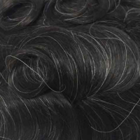#1B 10% Canas