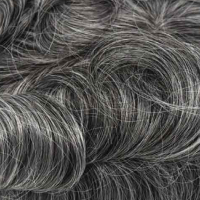 #1B 60% Canas
