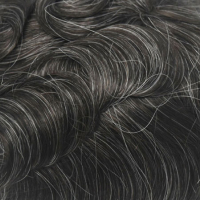 #2ASH 20% Canas