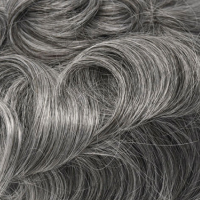 #2ASH 60% Canas