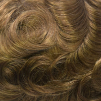 Warm Brown Blonde
